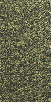 PARROT6 12LP.jpg